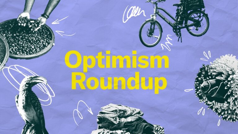 Optimism Roundup February 2025