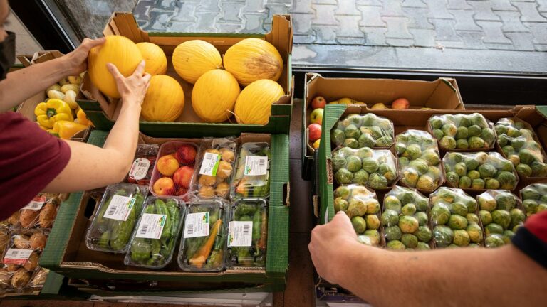 City of Milan food hub