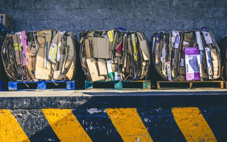 Recycled cardboard