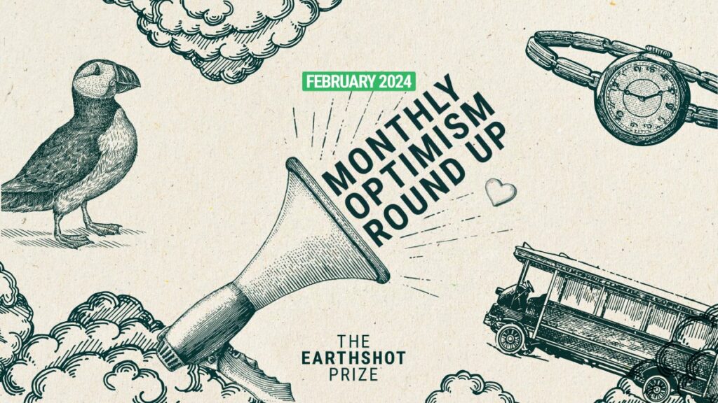 Optimism Roundup Feb 2024