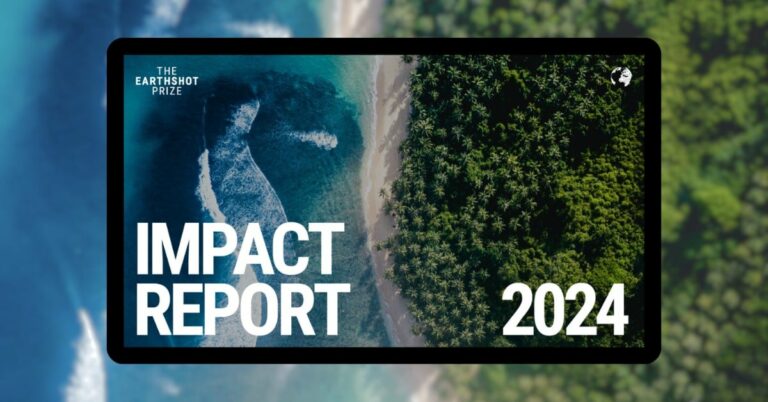 Earthshot Prize Impact Report 2024