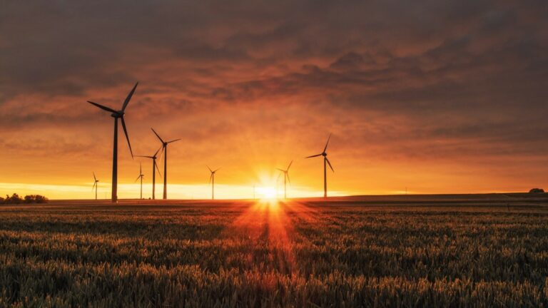 wind turbines at sunrise
