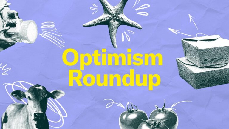 Optimism Roundup March 2025