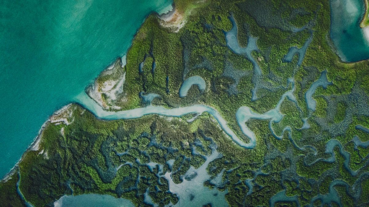30x30: Why Protecting 30% of Land and Sea by 2030 Matters - The ...