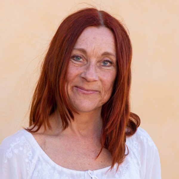 Carina Borgström Hansson