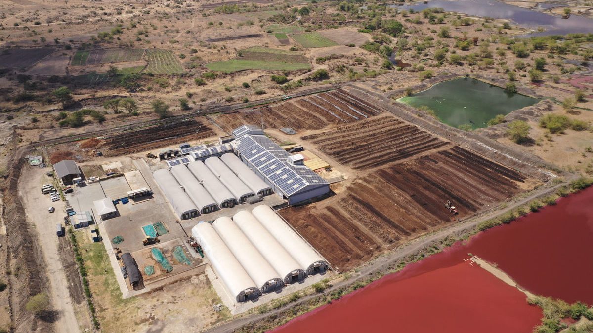 Sanergy processing factory