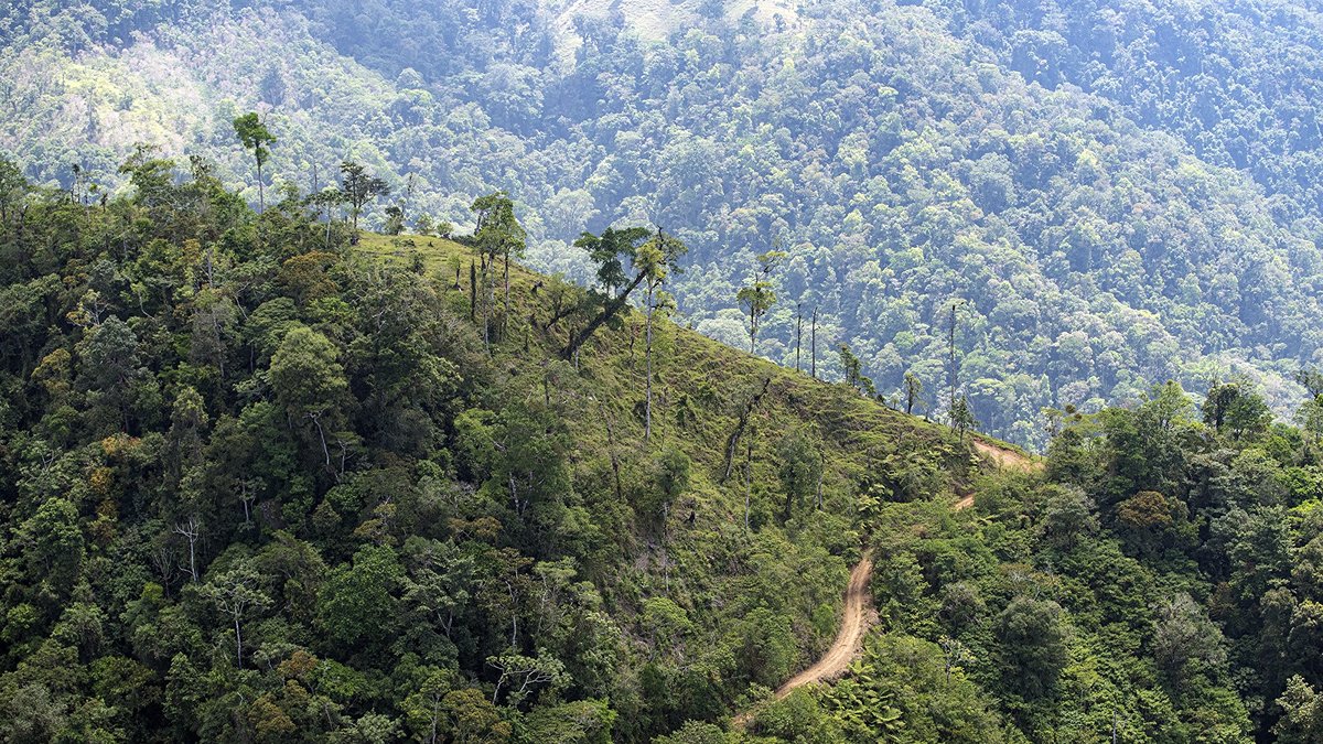 Costa Rica continues drive the protection of the natural environment.