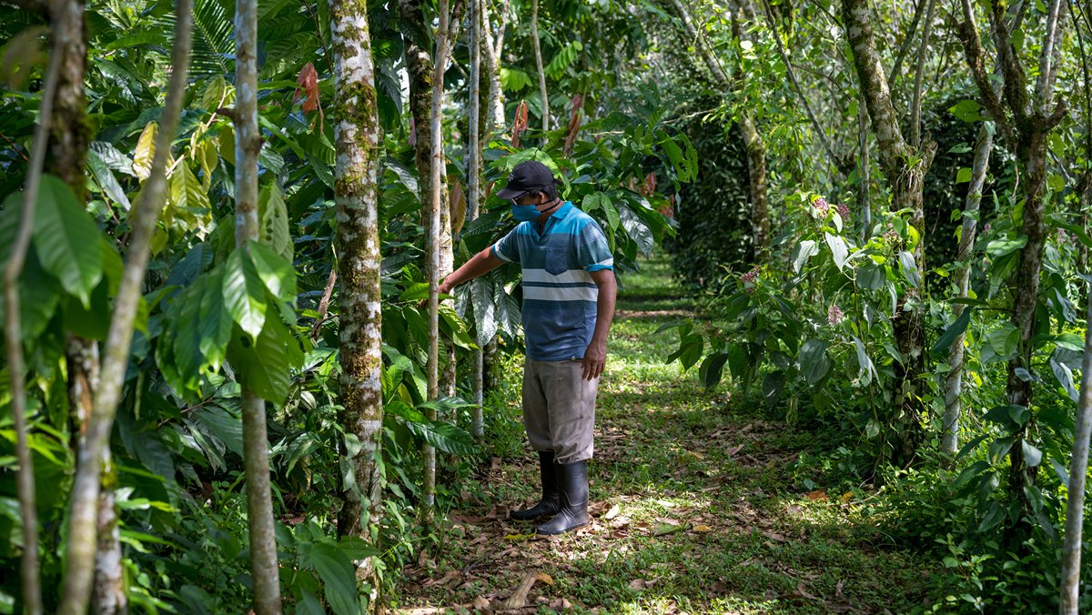 Costa Rica continues drive the protection of the natural environment.
