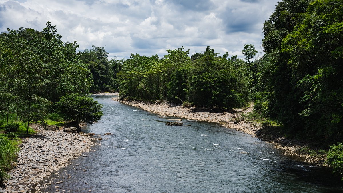 Costa Rica continues drive the protection of the natural environment.