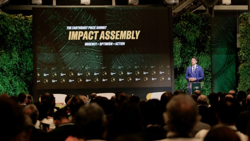 Impact Assembly, Matter Adam Root