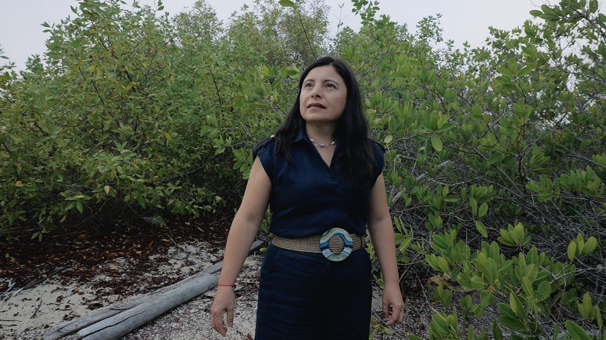 Bonds for Ocean Conservation