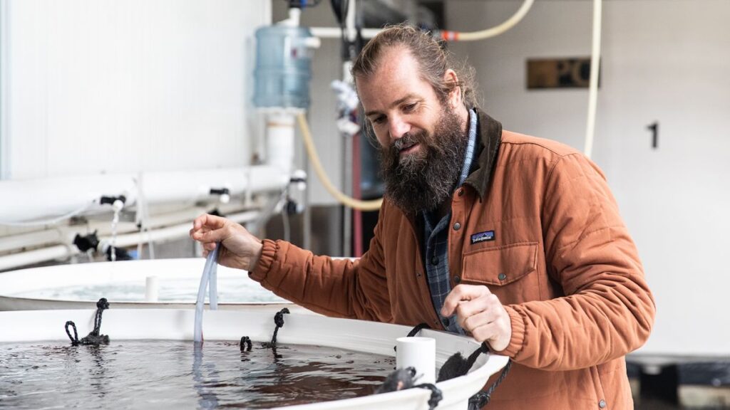 Sam Elsom Sea Forest inspecting product