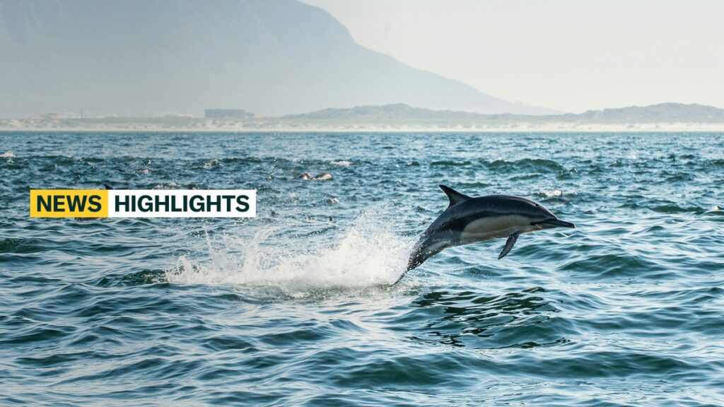 News highlights big money bold bans record results