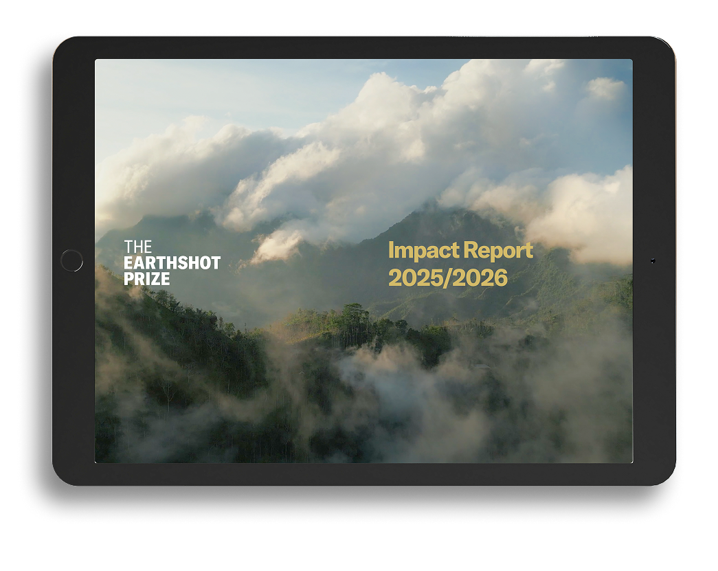 Impact Report 2025/26