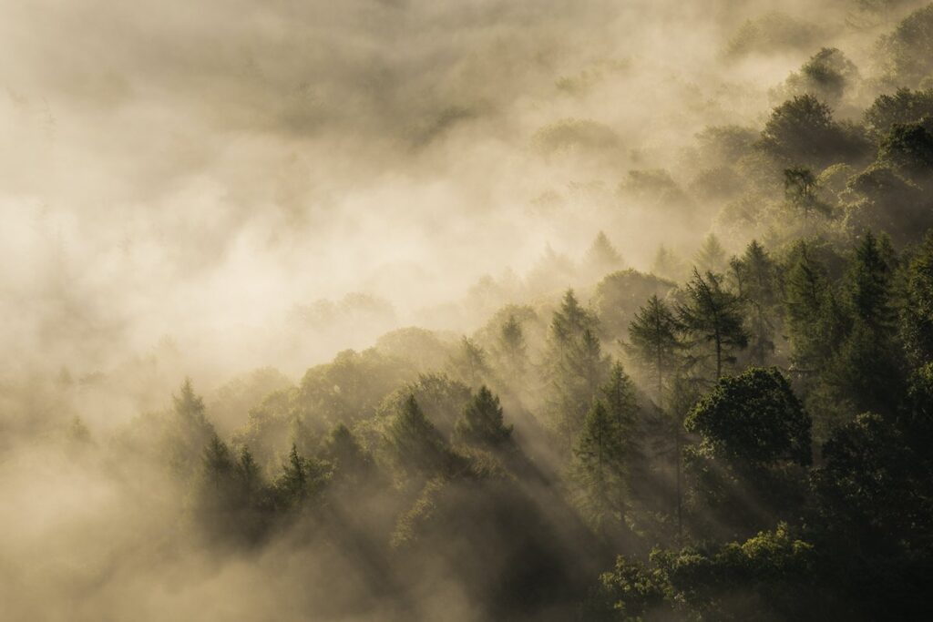 Earthshot Fix Our Climate Background