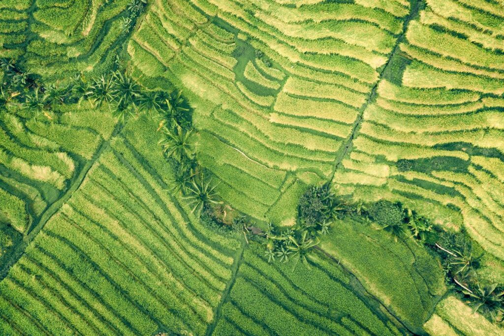 Earthshot Protect and Restore Nature Background
